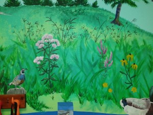 wetlands-mural-fort-dudak-flower-quail-image